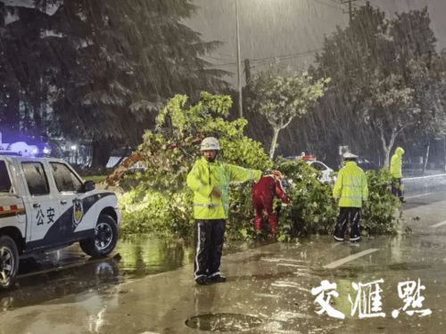 江蘇多地交警推出便民停車措施 商場(chǎng)樓頂免費(fèi)與道路兩側(cè)有序停放